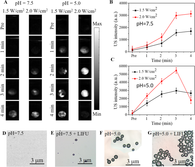 Targeted Ultrasound Imaging & Therapy of Ovarian Tumors Using pH‑Responsive Perfluoropentane Protein Nanoparticles