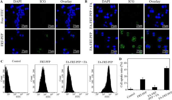 Targeted Ultrasound Imaging & Therapy of Ovarian Tumors Using pH‑Responsive Perfluoropentane Protein Nanoparticles