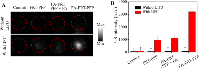 Targeted Ultrasound Imaging & Therapy of Ovarian Tumors Using pH‑Responsive Perfluoropentane Protein Nanoparticles