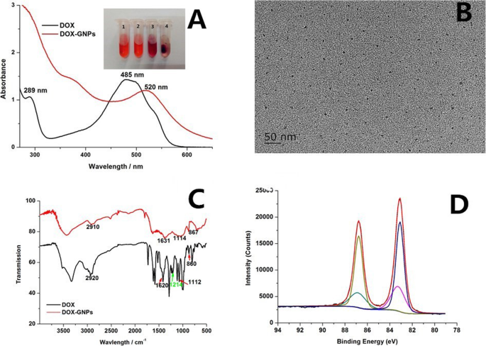 Efficient One-Step Green Synthesis of Multifunctional Gold Nanoparticles for Targeted Tumor Imaging and Therapy