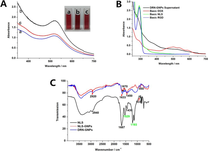 Efficient One-Step Green Synthesis of Multifunctional Gold Nanoparticles for Targeted Tumor Imaging and Therapy