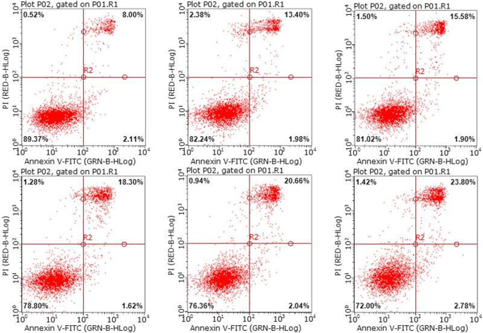 Efficient One-Step Green Synthesis of Multifunctional Gold Nanoparticles for Targeted Tumor Imaging and Therapy