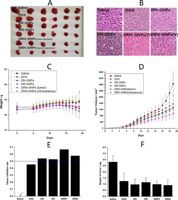 Efficient One-Step Green Synthesis of Multifunctional Gold Nanoparticles for Targeted Tumor Imaging and Therapy