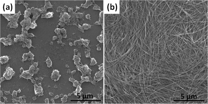 High-Performance Free‑Standing Sodium Titanate Nanotube Membrane for Oil‑Water Separation, Self‑Cleaning, and Photocatalytic Water Treatment