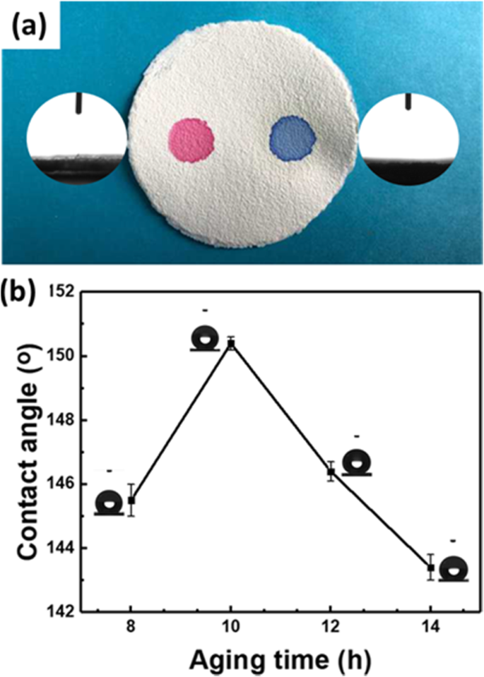 High-Performance Free‑Standing Sodium Titanate Nanotube Membrane for Oil‑Water Separation, Self‑Cleaning, and Photocatalytic Water Treatment