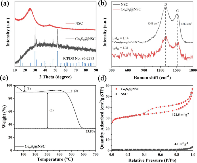 Co9S8 Nanostructures with N,S-Doped Carbon Coating: High-Performance Sodium-Ion Battery Anodes