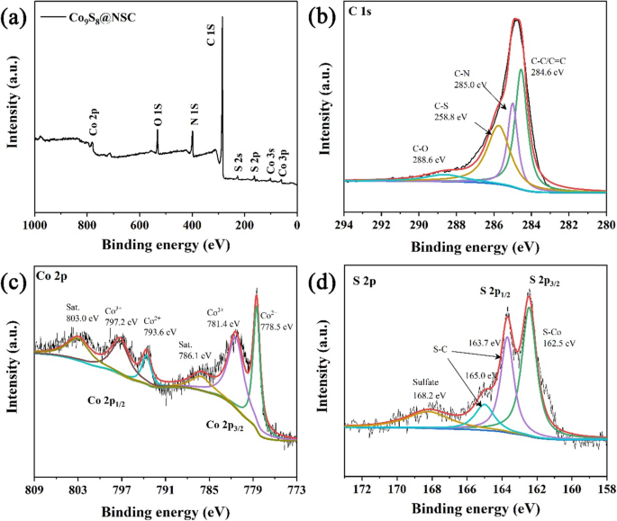 Co9S8 Nanostructures with N,S-Doped Carbon Coating: High-Performance Sodium-Ion Battery Anodes