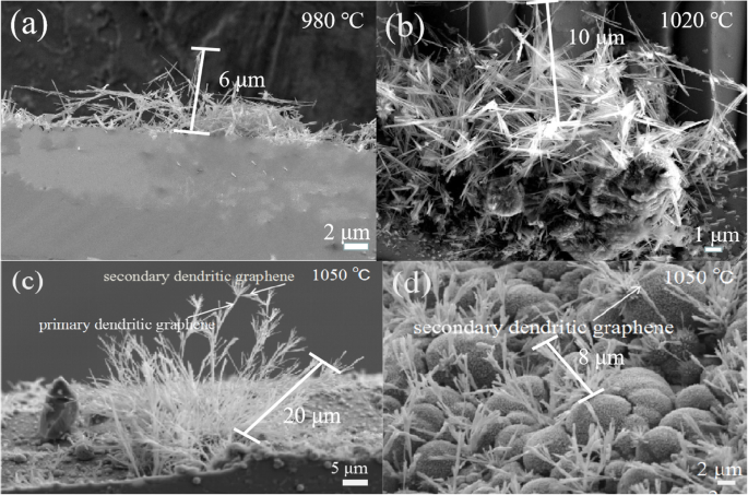 Revolutionary CVD Process Produces Controlled Graphene Dendrites on SiO₂/Si Substrates