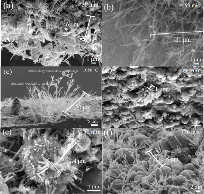 Revolutionary CVD Process Produces Controlled Graphene Dendrites on SiO₂/Si Substrates