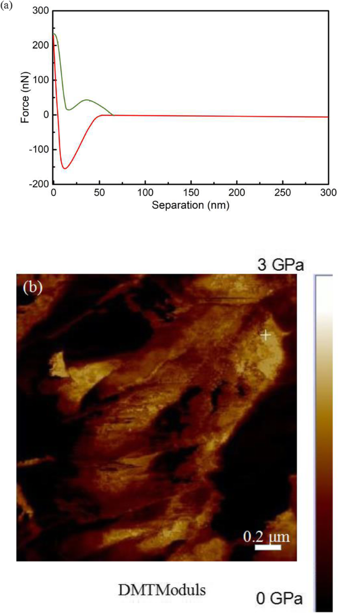 Revolutionary CVD Process Produces Controlled Graphene Dendrites on SiO₂/Si Substrates