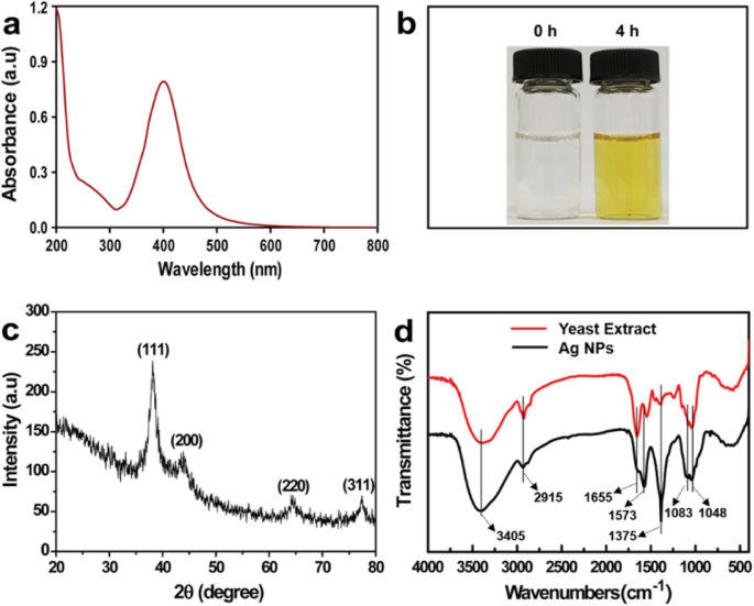 Green Synthesis of Silver Nanoparticles with Yeast Extract: Controlled Morphology and Enhanced Antibacterial Activity