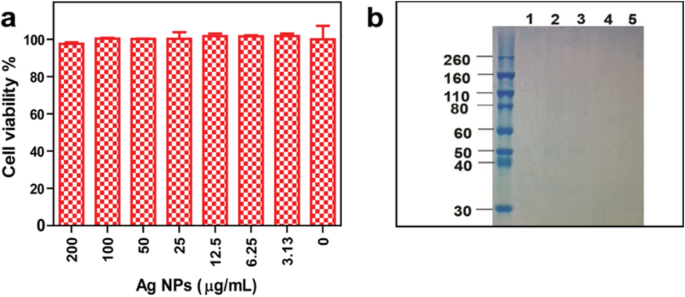 Green Synthesis of Silver Nanoparticles with Yeast Extract: Controlled Morphology and Enhanced Antibacterial Activity