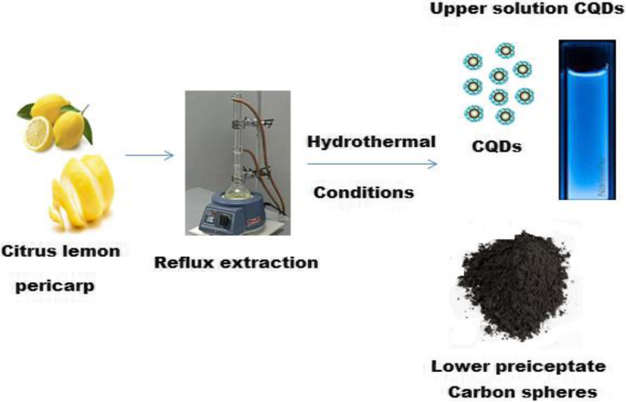 Rapid, Sensitive Fluorescence Immunoassay for CYFRA 21-1 Using Carbon Quantum Dot/Zinc Oxide Nanocomposite