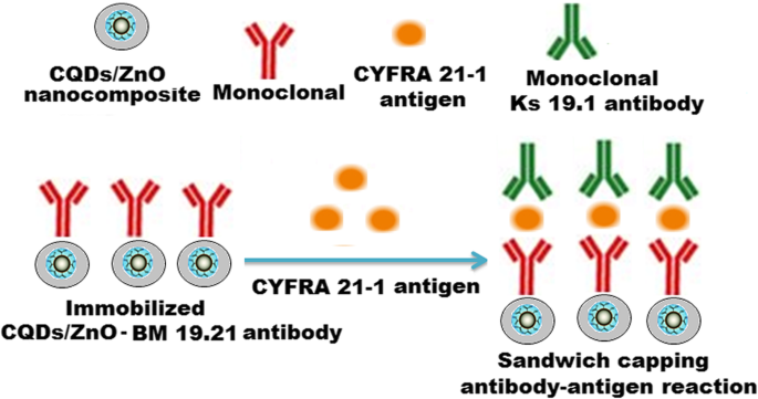 Rapid, Sensitive Fluorescence Immunoassay for CYFRA 21-1 Using Carbon Quantum Dot/Zinc Oxide Nanocomposite