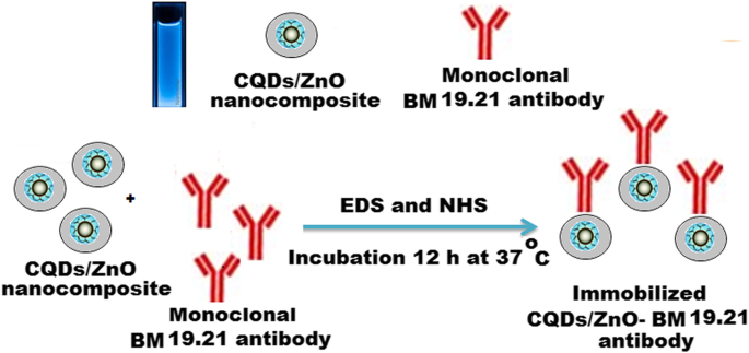 Rapid, Sensitive Fluorescence Immunoassay for CYFRA 21-1 Using Carbon Quantum Dot/Zinc Oxide Nanocomposite