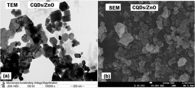Rapid, Sensitive Fluorescence Immunoassay for CYFRA 21-1 Using Carbon Quantum Dot/Zinc Oxide Nanocomposite
