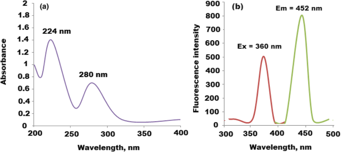 Rapid, Sensitive Fluorescence Immunoassay for CYFRA 21-1 Using Carbon Quantum Dot/Zinc Oxide Nanocomposite