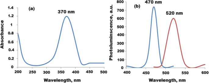 Rapid, Sensitive Fluorescence Immunoassay for CYFRA 21-1 Using Carbon Quantum Dot/Zinc Oxide Nanocomposite
