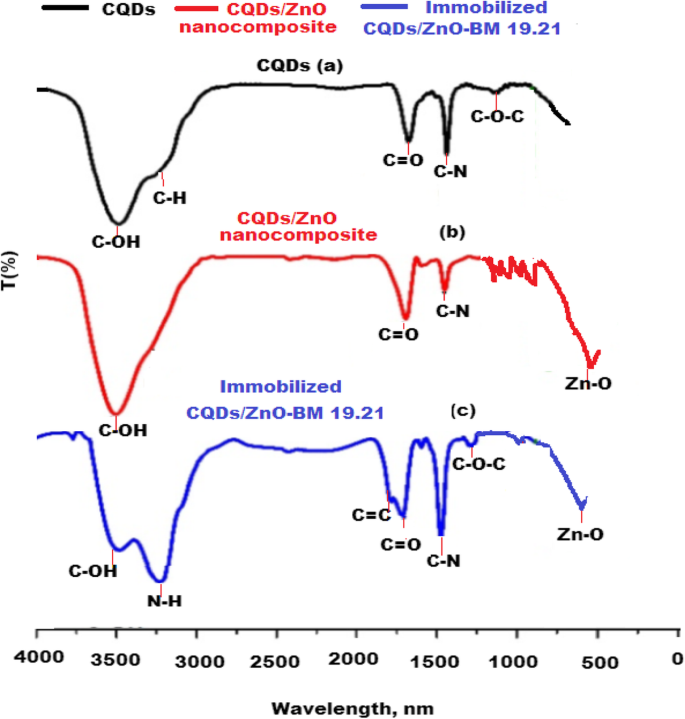 Rapid, Sensitive Fluorescence Immunoassay for CYFRA 21-1 Using Carbon Quantum Dot/Zinc Oxide Nanocomposite
