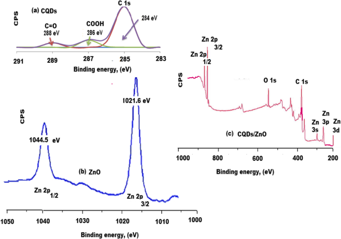 Rapid, Sensitive Fluorescence Immunoassay for CYFRA 21-1 Using Carbon Quantum Dot/Zinc Oxide Nanocomposite