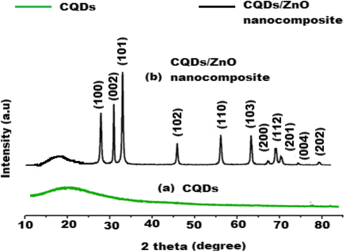 Rapid, Sensitive Fluorescence Immunoassay for CYFRA 21-1 Using Carbon Quantum Dot/Zinc Oxide Nanocomposite
