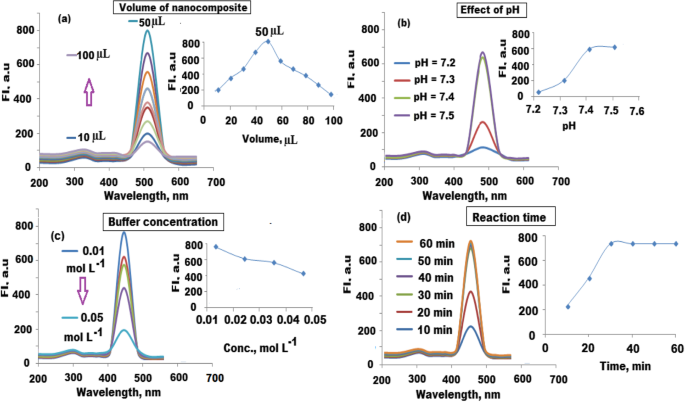 Rapid, Sensitive Fluorescence Immunoassay for CYFRA 21-1 Using Carbon Quantum Dot/Zinc Oxide Nanocomposite