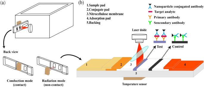 Portable Plasmonic Thermal Device for Accurate Quantification of Lateral Flow Assays