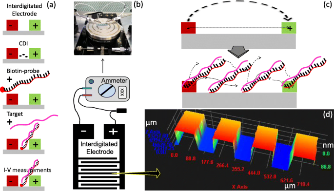 Advanced Detection of miRNA‑335‑5p Using Interdigitated Electrodes to Assess Abdominal Aortic Aneurysm Severity
