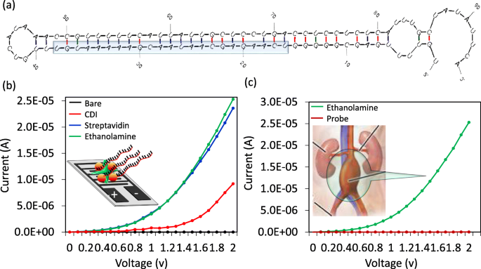 Advanced Detection of miRNA‑335‑5p Using Interdigitated Electrodes to Assess Abdominal Aortic Aneurysm Severity