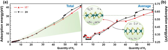 Enhancing Hydrogen Storage in WS₂: Theoretical Insights into Phase‑Dependent Performance