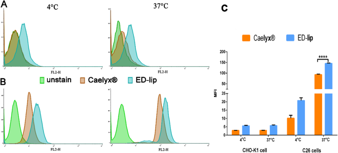 Targeted Doxorubicin Delivery Using Anti-EpCAM Aptamer-Functionalized Liposomes: Efficacy in C26 Colon Carcinoma Models
