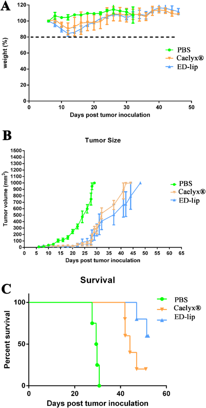 Targeted Doxorubicin Delivery Using Anti-EpCAM Aptamer-Functionalized Liposomes: Efficacy in C26 Colon Carcinoma Models