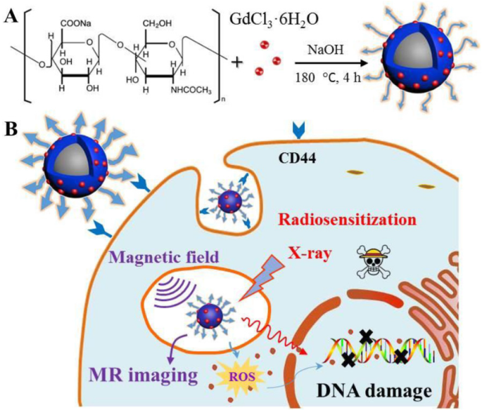 Hyaluronic Acid-Functionalized Gd₂O₃ Nanoparticles: Enhancing MRI-Guided Radiotherapy for Tumors