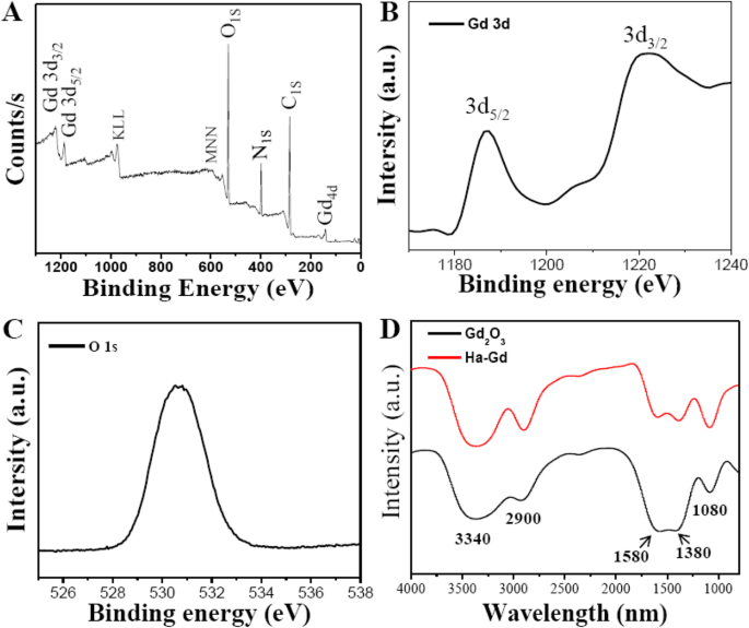 Hyaluronic Acid-Functionalized Gd₂O₃ Nanoparticles: Enhancing MRI-Guided Radiotherapy for Tumors