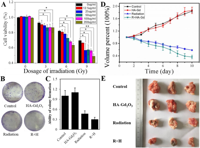 Hyaluronic Acid-Functionalized Gd₂O₃ Nanoparticles: Enhancing MRI-Guided Radiotherapy for Tumors
