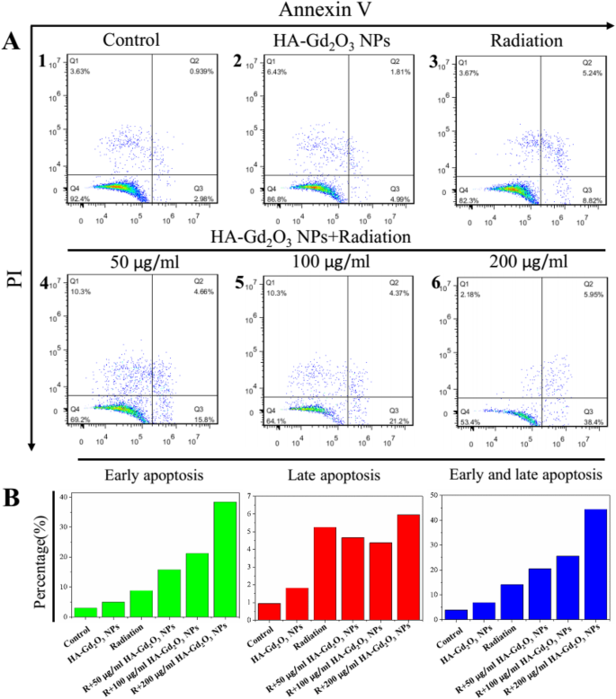 Hyaluronic Acid-Functionalized Gd₂O₃ Nanoparticles: Enhancing MRI-Guided Radiotherapy for Tumors