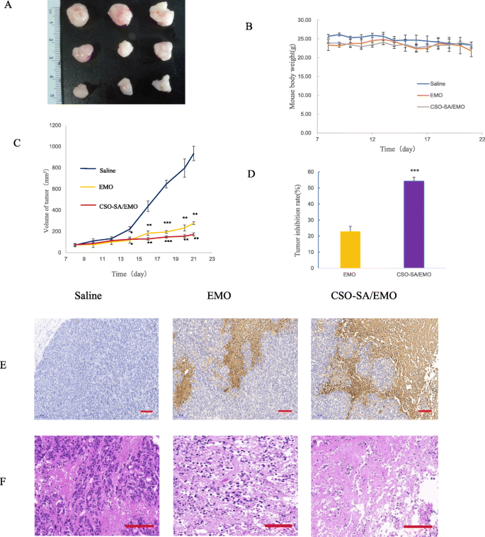 Emodin‑Loaded Stearic Acid‑G‑Chitosan Oligosaccharide Nanomicelles: Design, Characterization, and Antitumor Activity