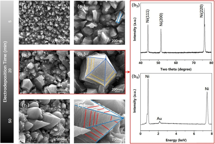 Controlled Electrodeposition of Ni Nanocones: Unifying Local Disorder with Global Order