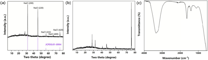 Controlled Electrodeposition of Ni Nanocones: Unifying Local Disorder with Global Order