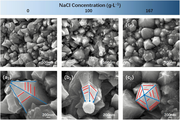 Controlled Electrodeposition of Ni Nanocones: Unifying Local Disorder with Global Order