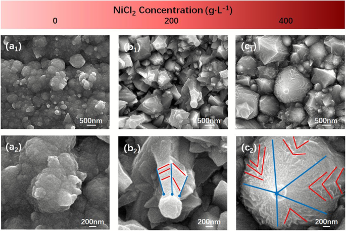 Controlled Electrodeposition of Ni Nanocones: Unifying Local Disorder with Global Order