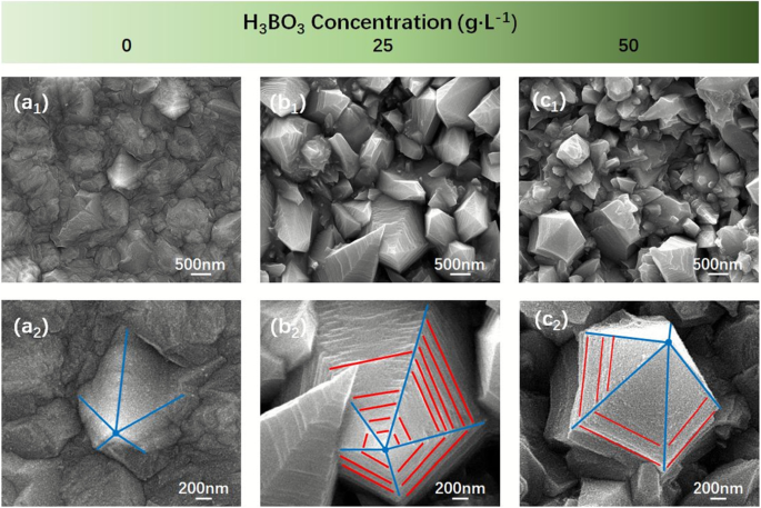 Controlled Electrodeposition of Ni Nanocones: Unifying Local Disorder with Global Order