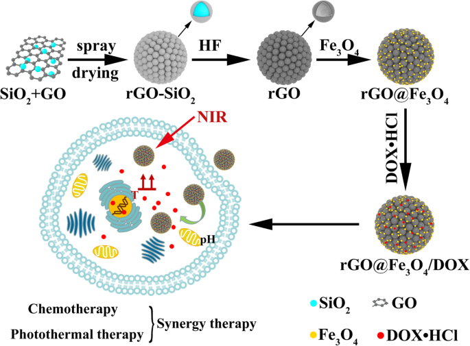 Easy Fabrication of rGO@Fe3O4 Microspheres for Magnetically Targeted, NIR-Responsive Chemo‑Photothermal Cancer Therapy