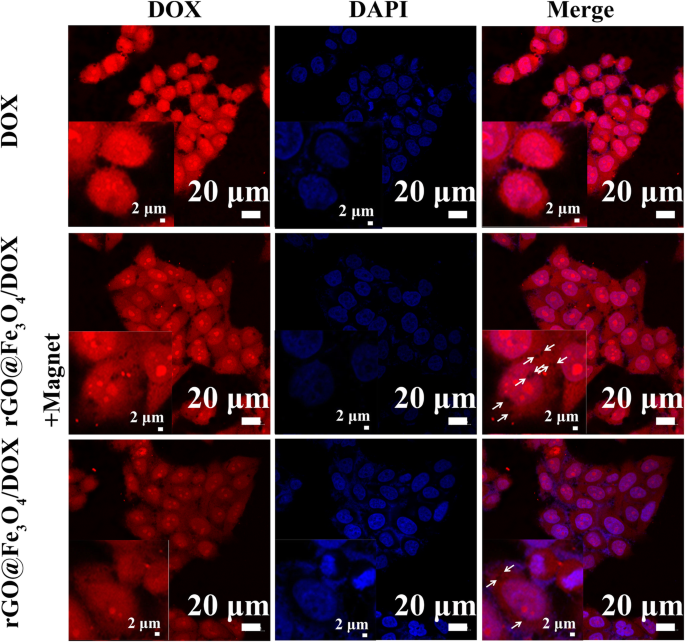 Easy Fabrication of rGO@Fe3O4 Microspheres for Magnetically Targeted, NIR-Responsive Chemo‑Photothermal Cancer Therapy
