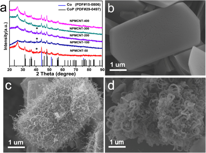 Co/CoP Nanoparticles Encapsulated in N,P-Doped Carbon Nanotubes on Nanoporous MOF Nanosheets: High-Performance Electrocatalysts for Oxygen Reduction and Evolution Reactions