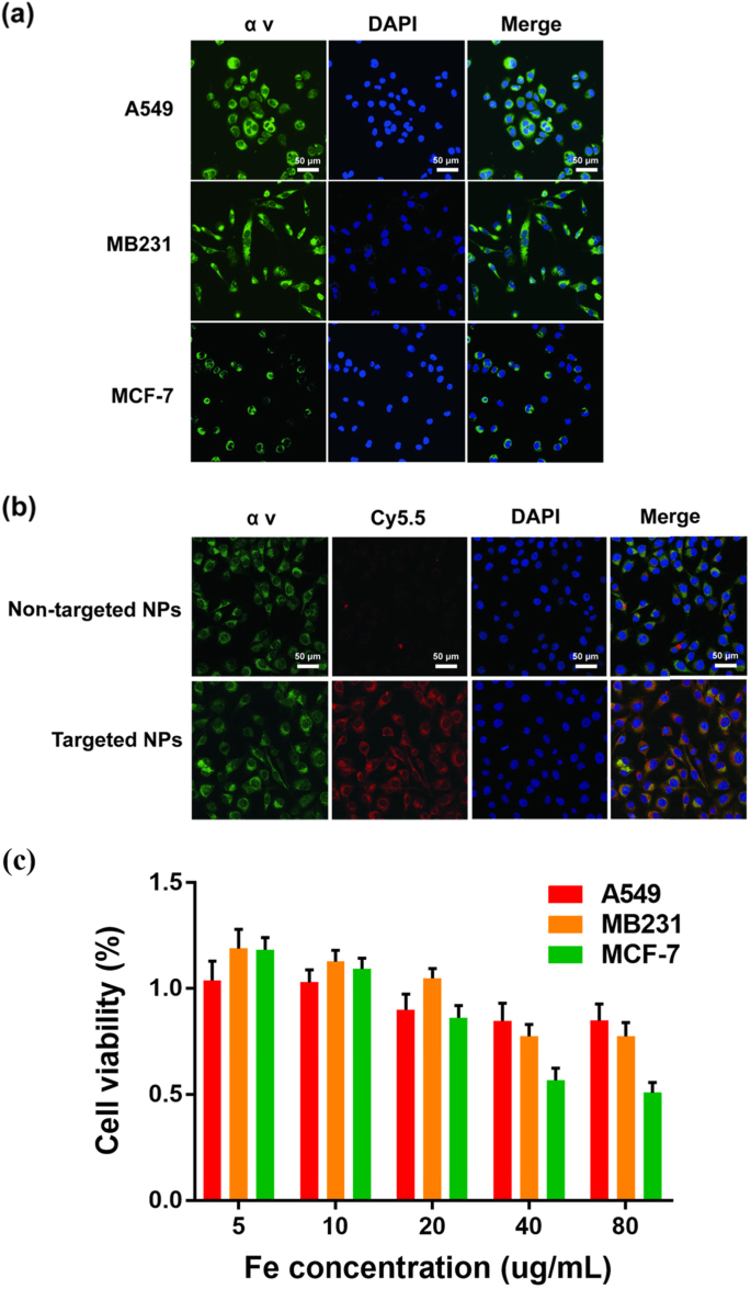 Biodegradable, Tumor‑Responsive Nanoparticles for Dual‑Modality Breast Cancer Imaging