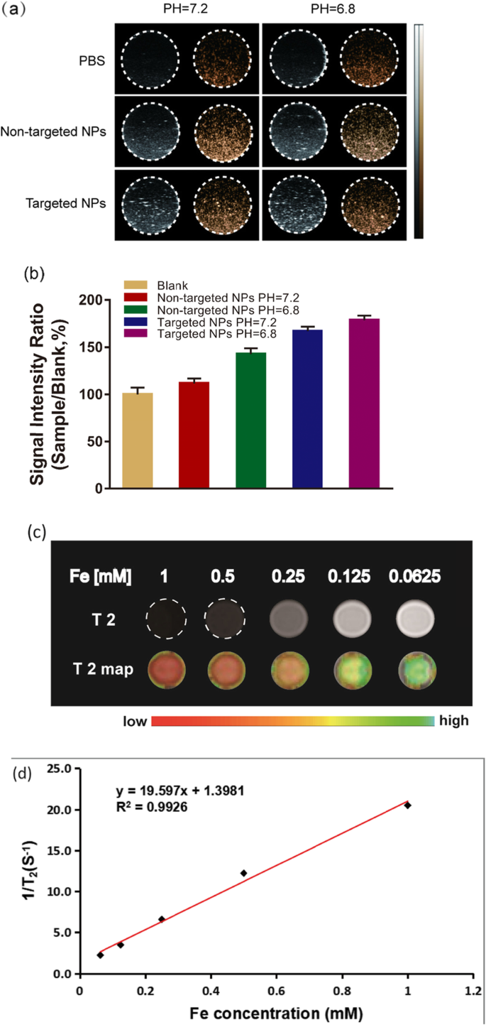 Biodegradable, Tumor‑Responsive Nanoparticles for Dual‑Modality Breast Cancer Imaging