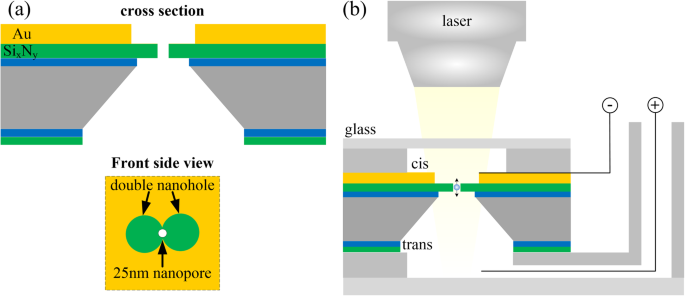 Optimizing DNA Translocation in Solid‑State Nanopores for Enhanced Sequencing Accuracy