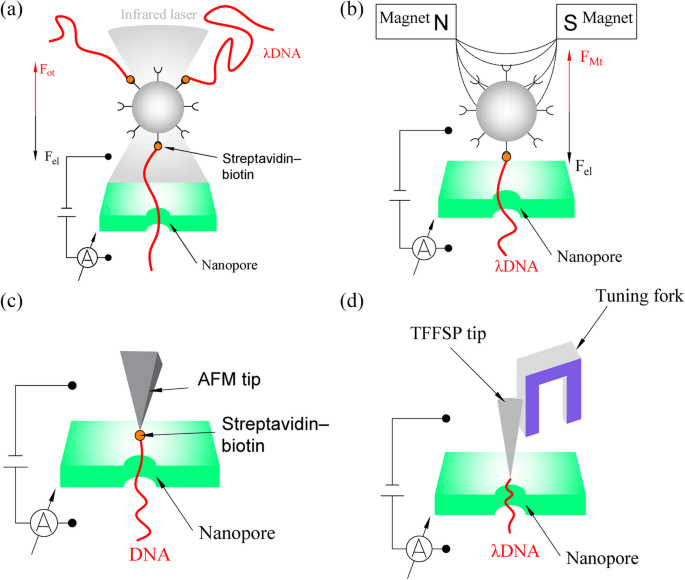 Optimizing DNA Translocation in Solid‑State Nanopores for Enhanced Sequencing Accuracy