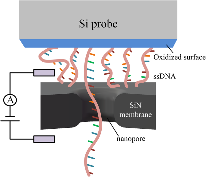 Optimizing DNA Translocation in Solid‑State Nanopores for Enhanced Sequencing Accuracy